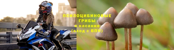 МДМА Белокуриха