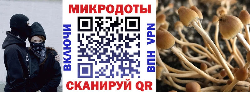 Псилоцибиновые грибы мицелий  Купить закладки  Медвежьегорск 